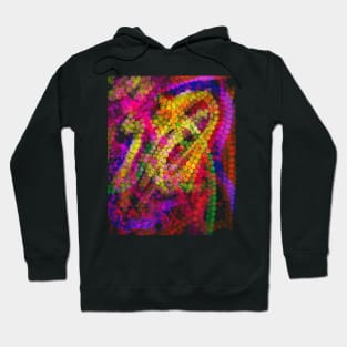 Crazy abstract 12 Hoodie